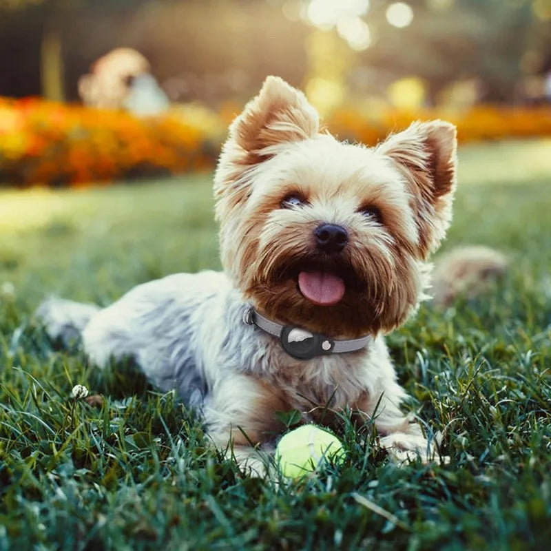 Sdea36f0b3446409896792426b80648ddX